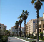 Apartment, The