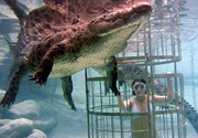 Cango Wildlife Ranch
