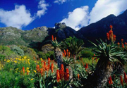 Garden Route
