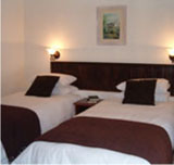 Green House Guest House, The
