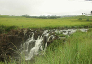 Midlands Meander