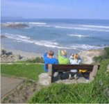Milkwood Lodge