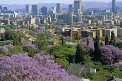 Pretoria