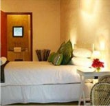 Thatched Olive, The