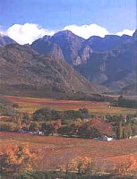 Cape Wine Route South Africa